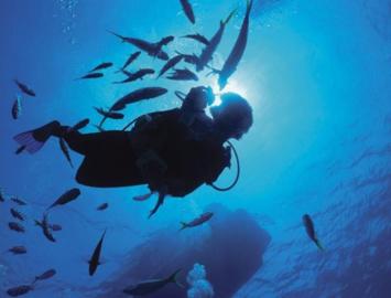 Turks and Caicos Islands