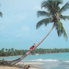 CIEE: Santo Domingo - Liberal Arts Photo