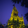CEA Global Education: Seville, Spain Photo