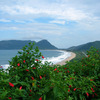 International Studies Abroad (ISA): Florianópolis - Language, Cultura & Economics Photo