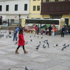 International Studies Abroad (ISA): Lima - Latin American Studies & Economics Photo