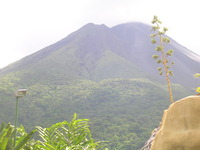 International Studies Abroad (ISA): San José - Business, Spanish Language & Latin American Culture Photo