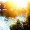 International Studies Abroad (ISA): Seville - Hispanic Studies Photo