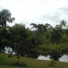 Living Routes: Lamas - Ecology, Indigenous Spirituality and Spanish in the High Amazon Photo