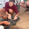 SFS: Mexico, BCS - Conserving Marine Mammals and Coastal Ecosystems (PROGRAM NOT RUNNING) Photo