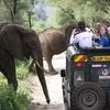 SFS: Kenya - Community Wildlife Management, Summer Session II Photo