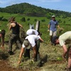 SFS: Australia - Techniques for Rainforest Research, Summer Session II Photo