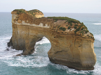 CISabroad (Center for International Studies): Gold Coast - Semester on the Gold Coast Photo