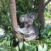 CISabroad (Center for International Studies): Newcastle - Semester in Newcastle Photo