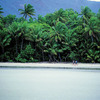Australearn: Cairns - James Cook University Photo