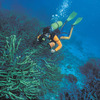 Australearn: Cairns - James Cook University Photo