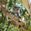 CAPA International Education: Sydney Study or Intern Abroad Photo
