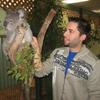 CAPA International Education: Sydney Study or Intern Abroad Photo