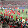 CISabroad (Center for International Studies): Limerick - Semester in Limerick Photo