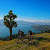 CISabroad (Center for International Studies): Dunedin - Semester on the South Island, New Zealand Photo
