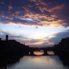 API (Academic Programs International): Florence - Lorenzo de'Medici - The Italian International Institute Photo