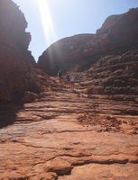 IES Abroad: Sydney- University of New South Wales Photo