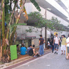 CIEE: Sao Paulo - Business & Culture Photo