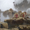 CIEE: Tokyo - Arts and Sciences Photo