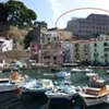 Sant'Anna Institute-Sorrento Lingue: Sorrento - International Language Institute Photo