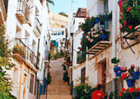 CIEE: Alicante - Liberal Arts Photo