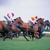 Australearn: Traveling – The Australian Sporting Industry Photo