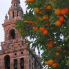 CIEE: Seville - Business & Society Photo