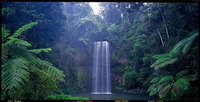 Australearn: Lismore - Southern Cross University Photo