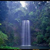 Australearn: Lismore - Southern Cross University Photo