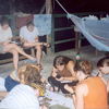 Antioch Education Abroad: Curitiba - Brazilian Ecosystems: The Protection and Management of Biodiversity Photo