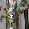 CIEE: Seville - Summer Internship Photo