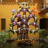 PMCSP Consortium: Puebla - Mexican Culture & Society Photo