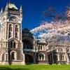 CISabroad (Center for International Studies): Dunedin - January in New Zealand Photo