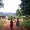 Antioch Education Abroad: Buea - Community Development in Cameroon Photo