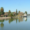 don Quijote: Mendoza - don Quijote in Mendoza Photo