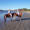 don Quijote: Flamingo Beach - don Quijote in Flamingo Beach Photo
