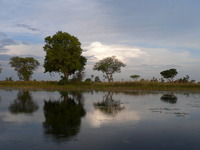 AIFS: Gaborone - University of Botswana Photo