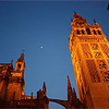 Athena Study Abroad: Seville - Centro de Leguas e Intercambio Cultural (CLIC) & University of Sevilla Photo