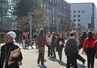 CIEE: Brussels - Buisness, Communications and Culture Photo
