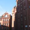 CIEE: London - Arts and Sciences (UCL) Photo