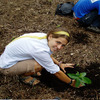 CIEE: Monteverde - Sustainability and the Environment Photo
