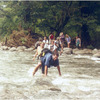 CIEE: Monteverde - Tropical Ecology and Conservation Photo