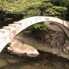 CIEE: Seoul - Summer Korean Studies Photo
