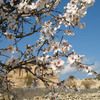 CIEE: Palma de Mallorca - Liberal Arts Photo