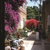 Study Abroad Italy (SAI): Rome - John Cabot University Photo