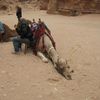 International Studies Abroad (ISA): Amman - Arabic Language, Culture & Courses with Local Students Photo