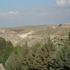 International Studies Abroad (ISA): Amman - Middle Eastern Studies, Summer Photo