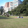 International Studies Abroad (ISA): Buenos Aires - Intensive Spanish Language, Summer Photo