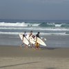 International Studies Abroad (ISA): Florianopolis - Language, Culture & Economics, Summer Photo