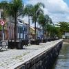 International Studies Abroad (ISA): Florianopolis - Language, Culture & Economics, Summer Photo